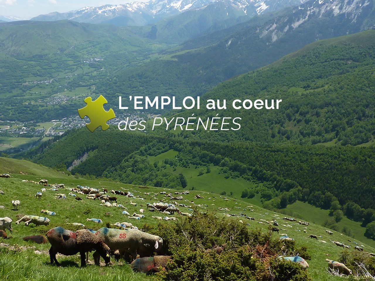 adresse mail